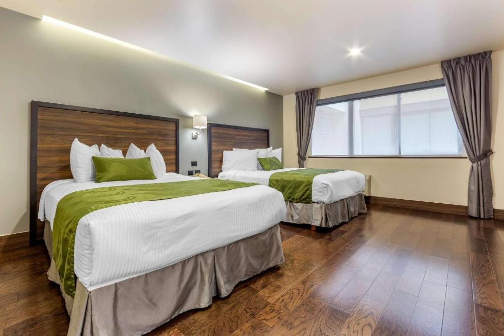 Quality Inn Chihuahua San Francisco Pokój zdjęcie
