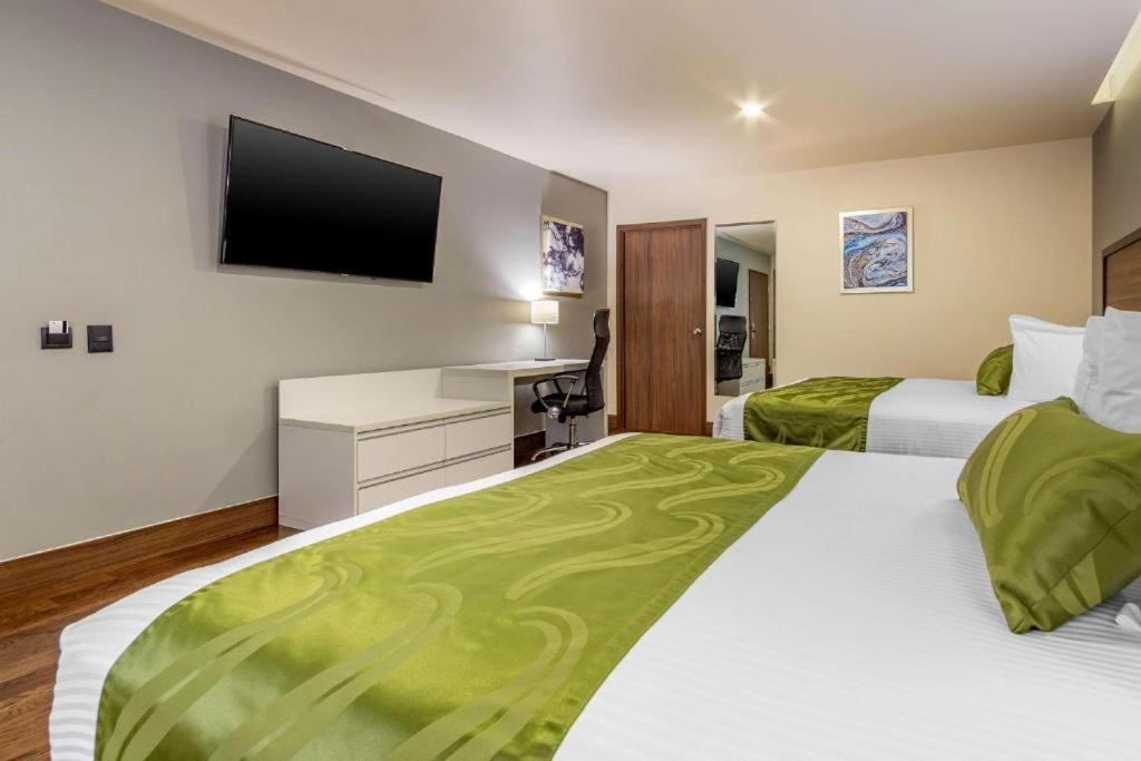 Quality Inn Chihuahua San Francisco Pokój zdjęcie